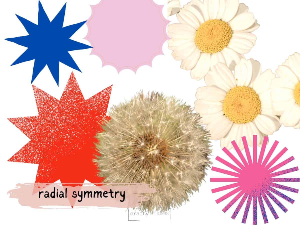 examples of radial symmetry with flower, dandelion and radial shapes.