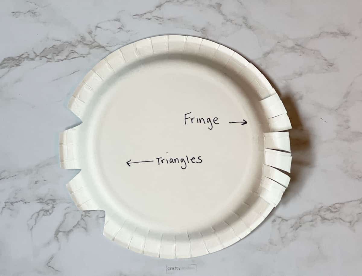 back of paper plate showing triangles or fringe cut out.