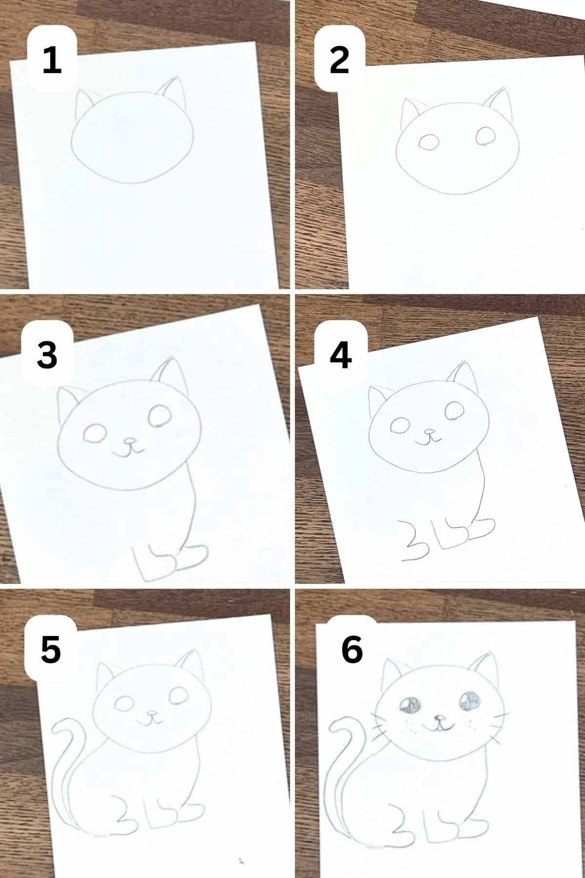 cute cat being drawn.