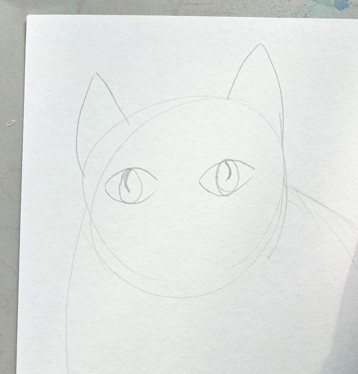 pencil sketched cat face.