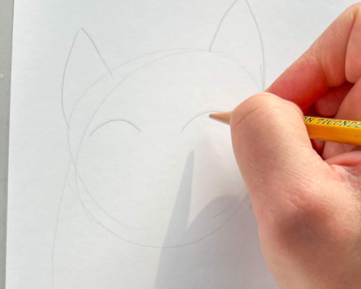 hand drawing cat eyes on simple cat face.