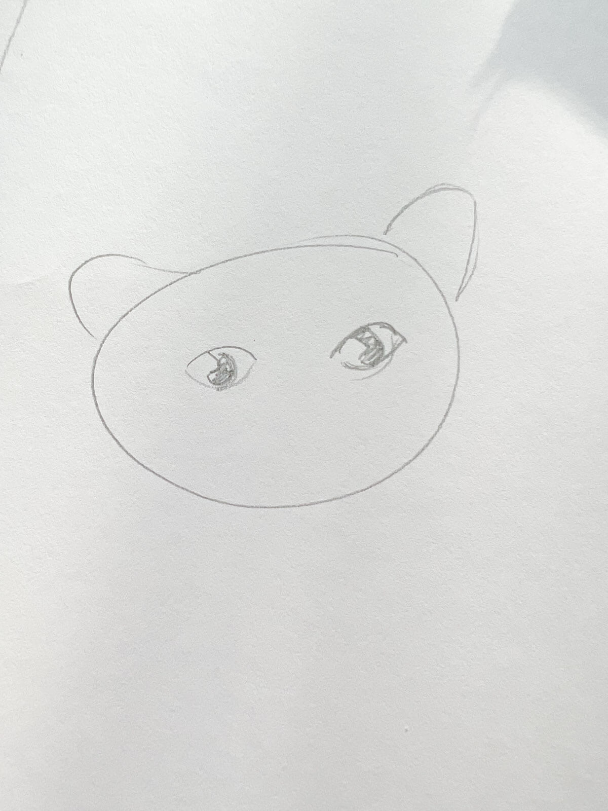 cat ears and eyes sketched into oval on white paper.
