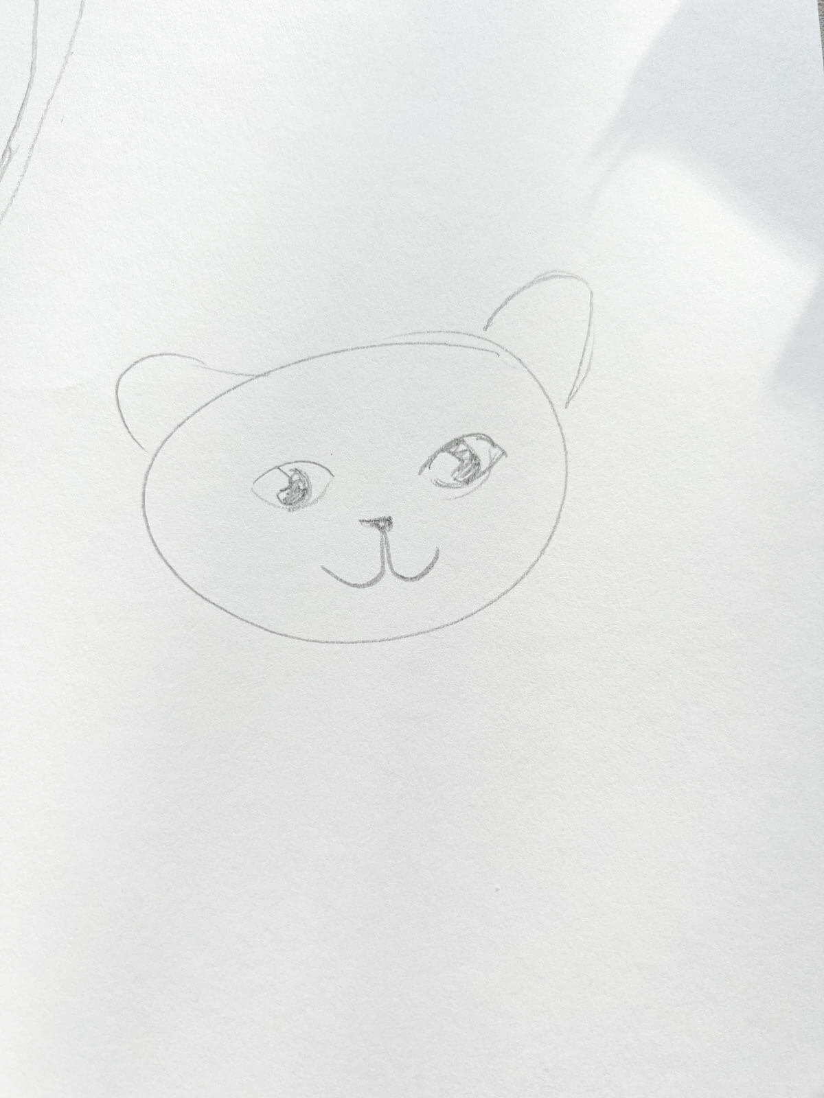 simple cat face drawing on white paper.