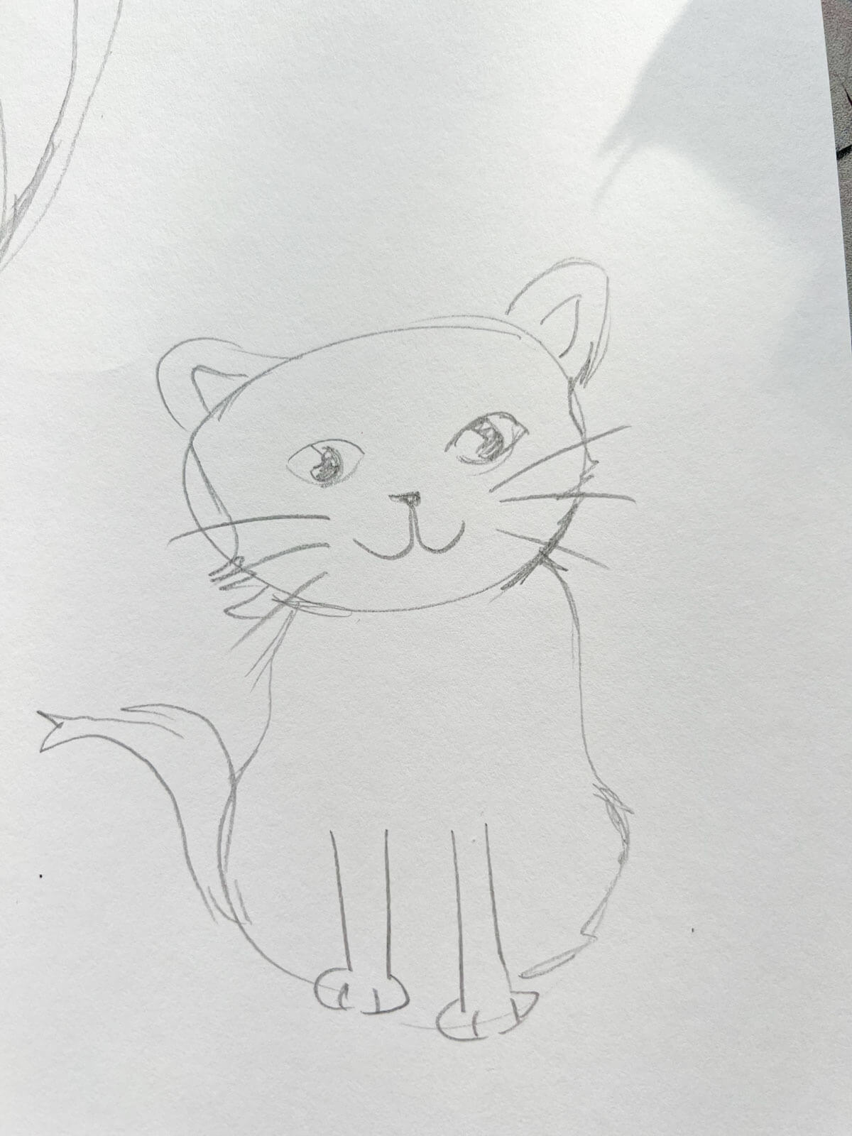 cat sketch with whiskers on white paper.