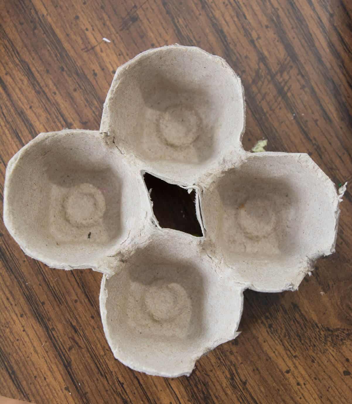 4 spots of egg carton cut on brown table.
