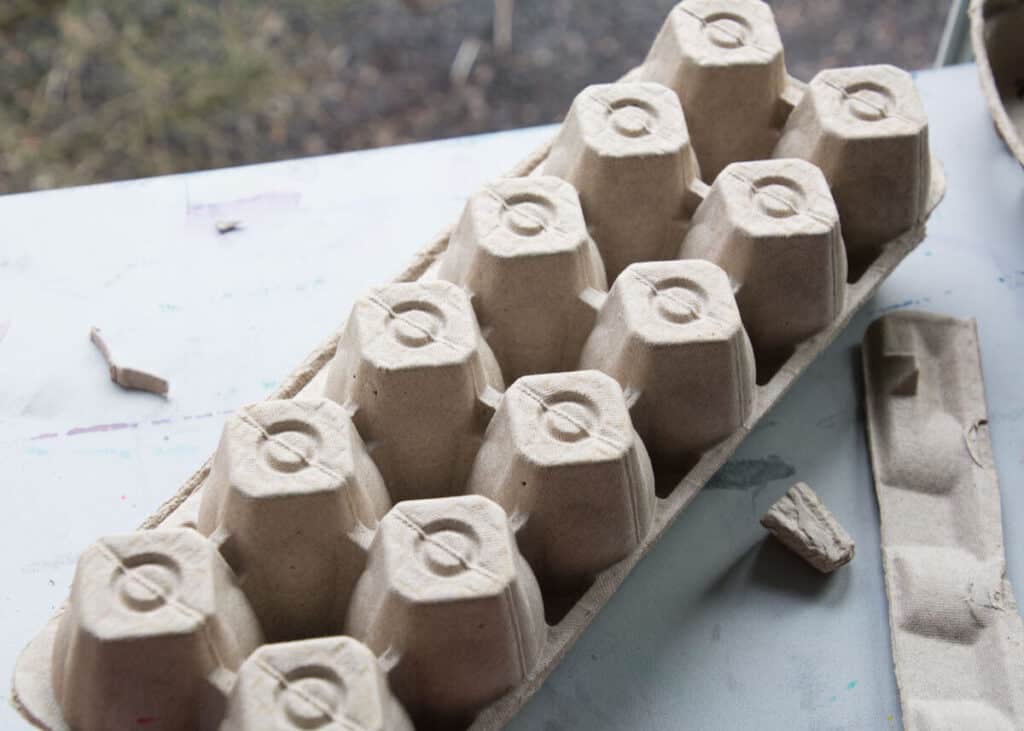 back of an egg carton on a table.