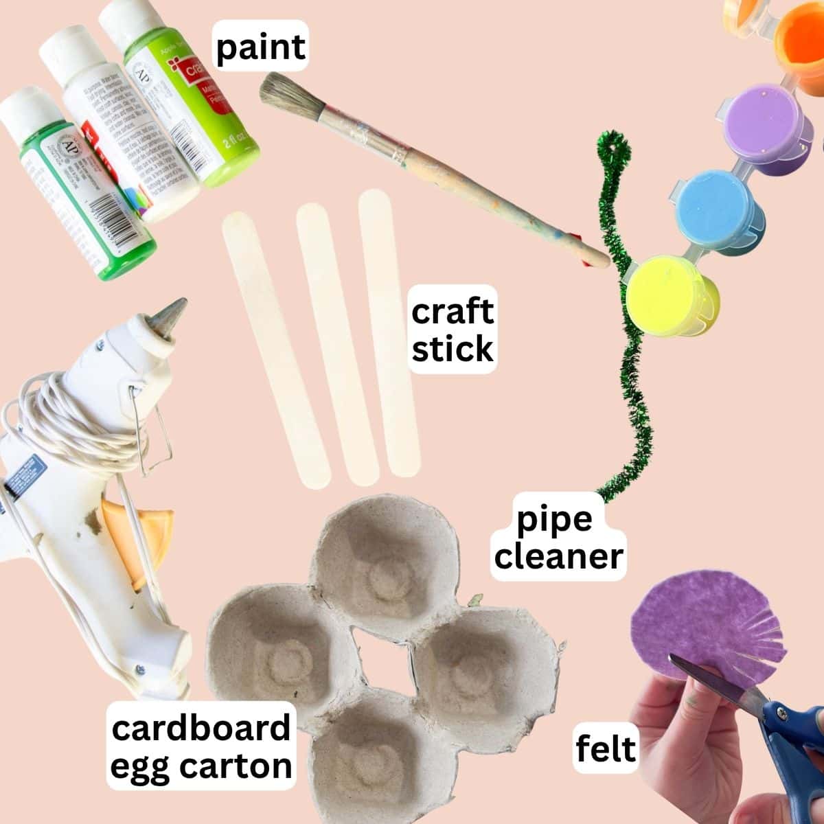 paint, glue gun, craft sticks, egg carton and felt.