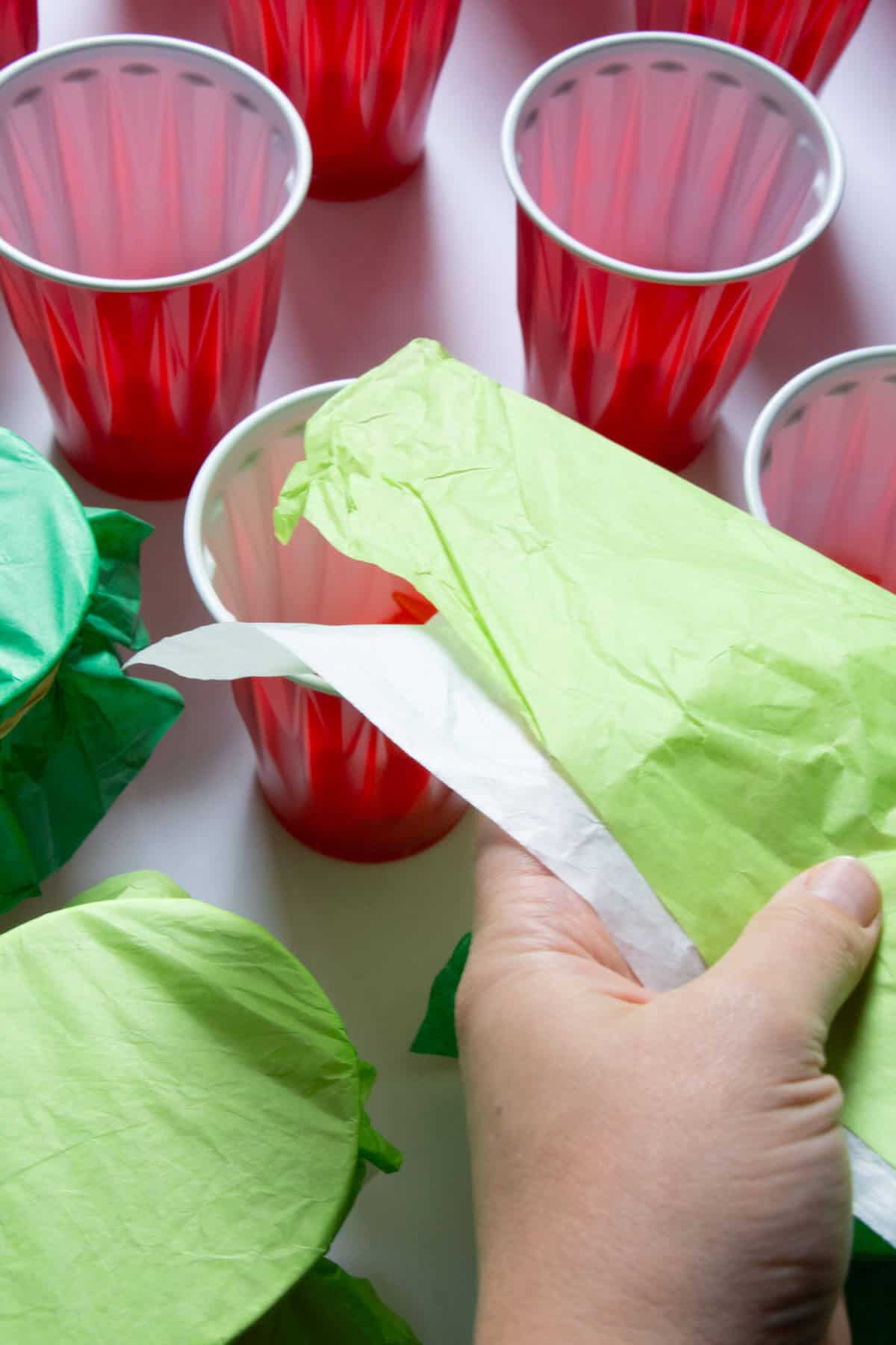 hand holding lime green and white tissue paper with cups in the background.
