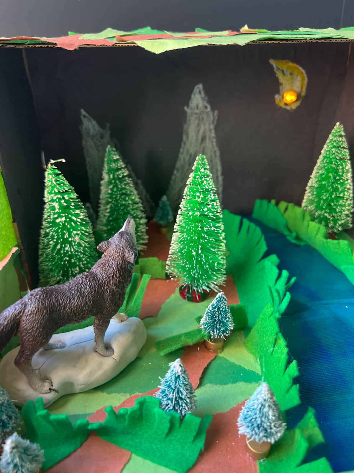 wolf shoebox diorama.