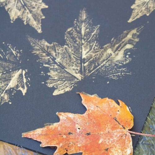 gold leaf prints with leaf on a piece of black paper.
