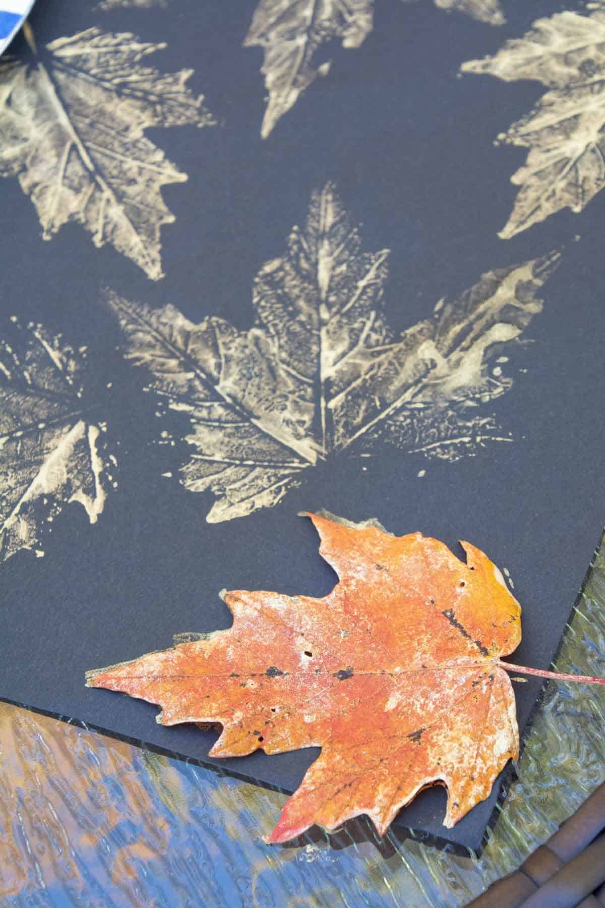 gold leaf prints with leaf on a piece of black paper.