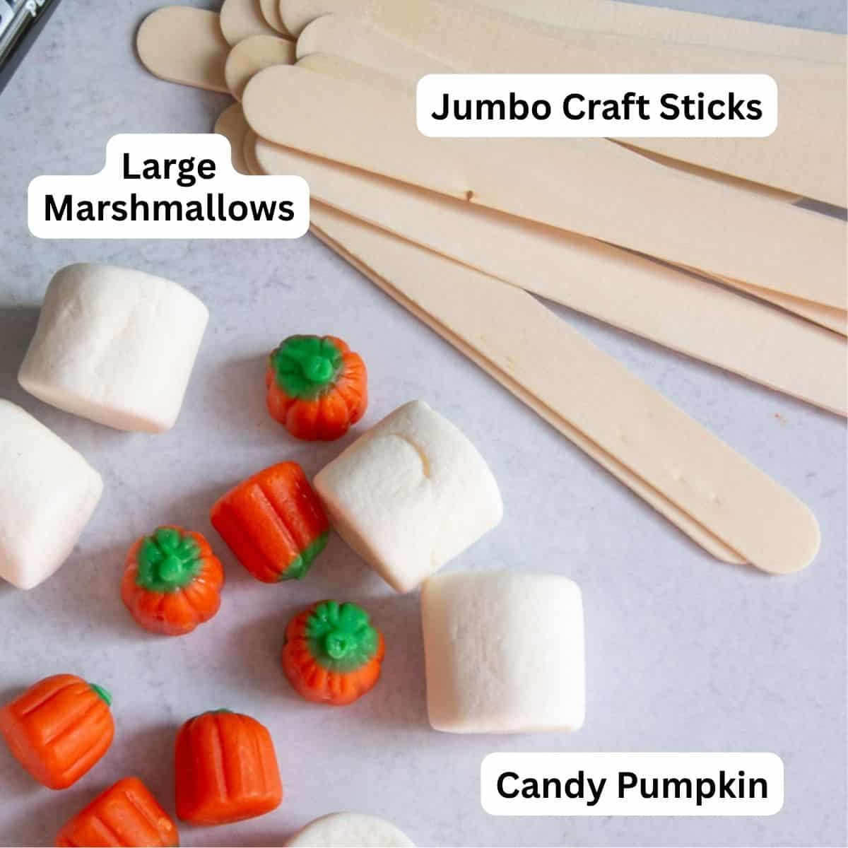 candy pumpkins, large marshmallows and jumbo craft sticks.