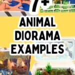 shoebox school project examples with text 7+ animal diorama examples.