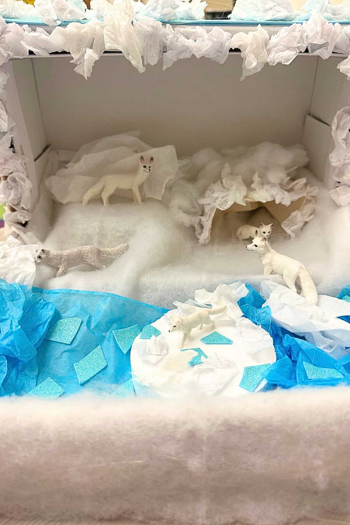 Artic fox shoebox habitat project.