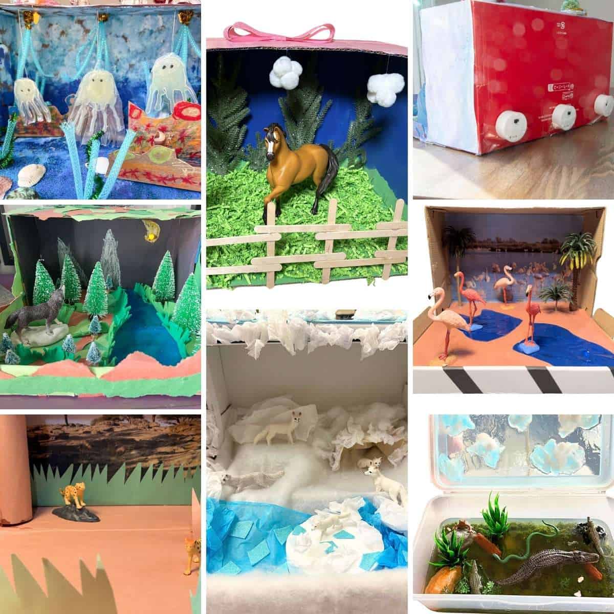 collage of animal diorama example projects done by kids.