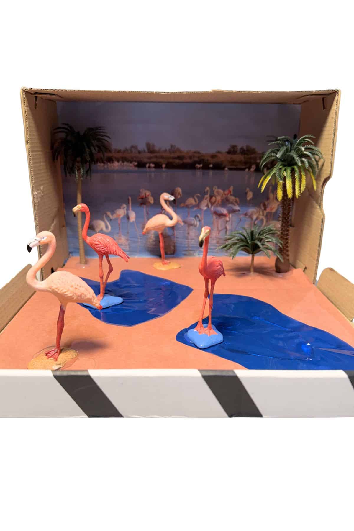 flamingo habitat project.