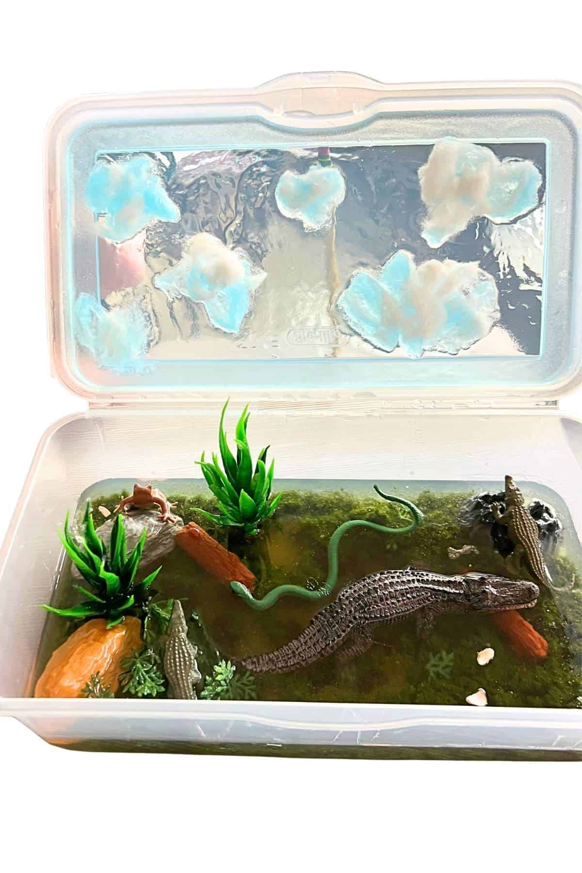 plastic box crocodile habitat project with resin water.