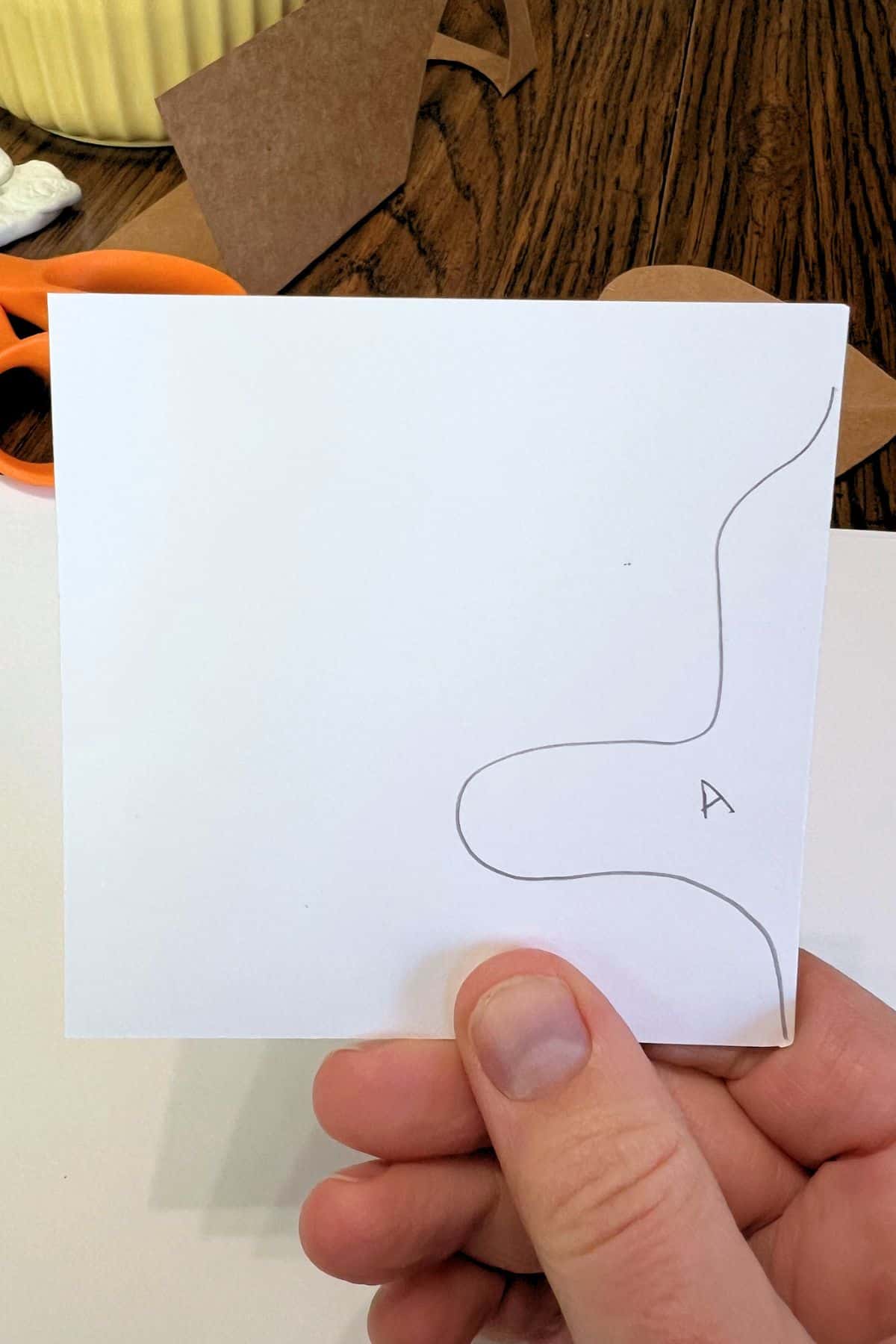 hand holding paper with line drawn on right side.